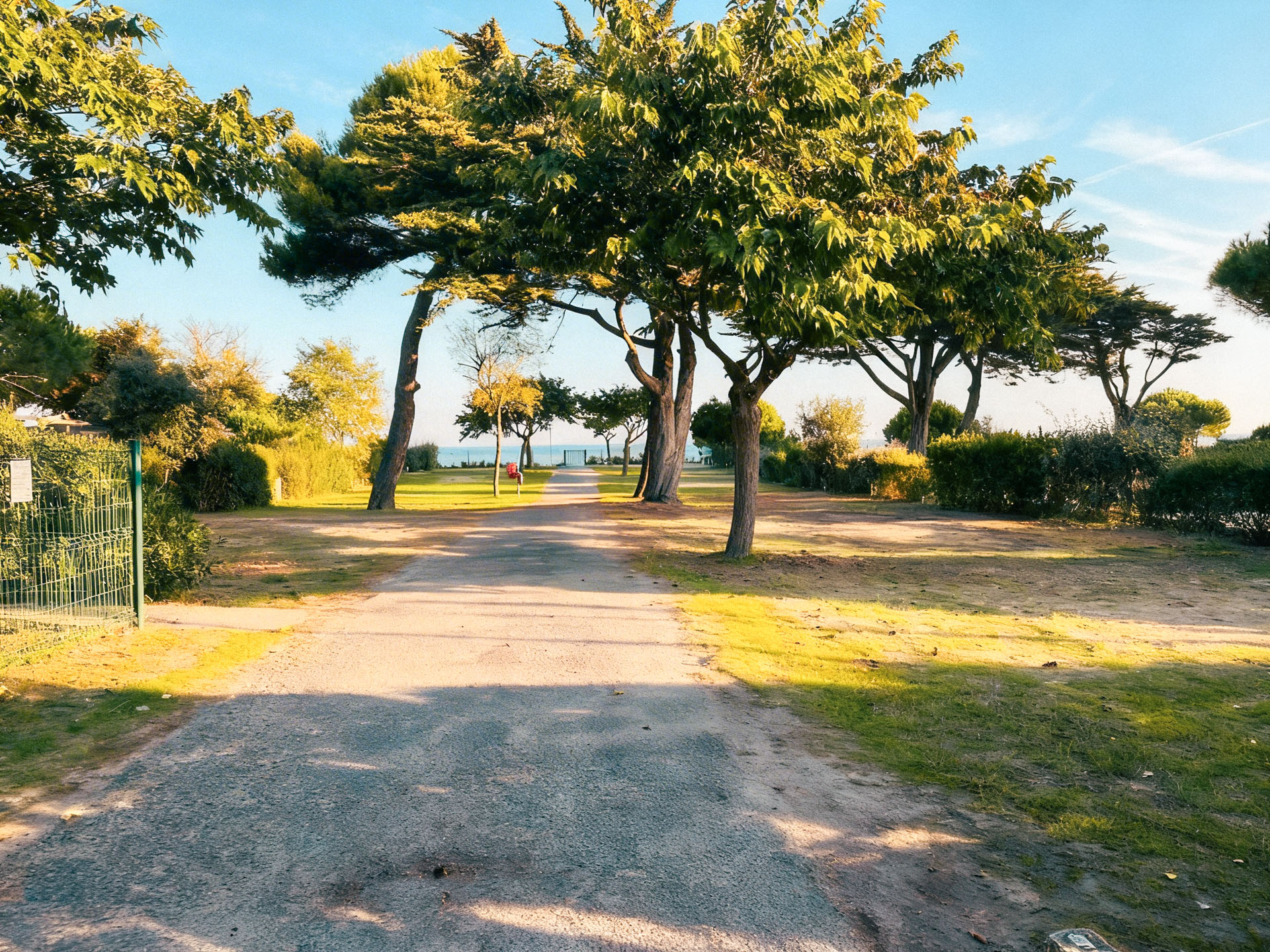 camping site platin redoute île de ré