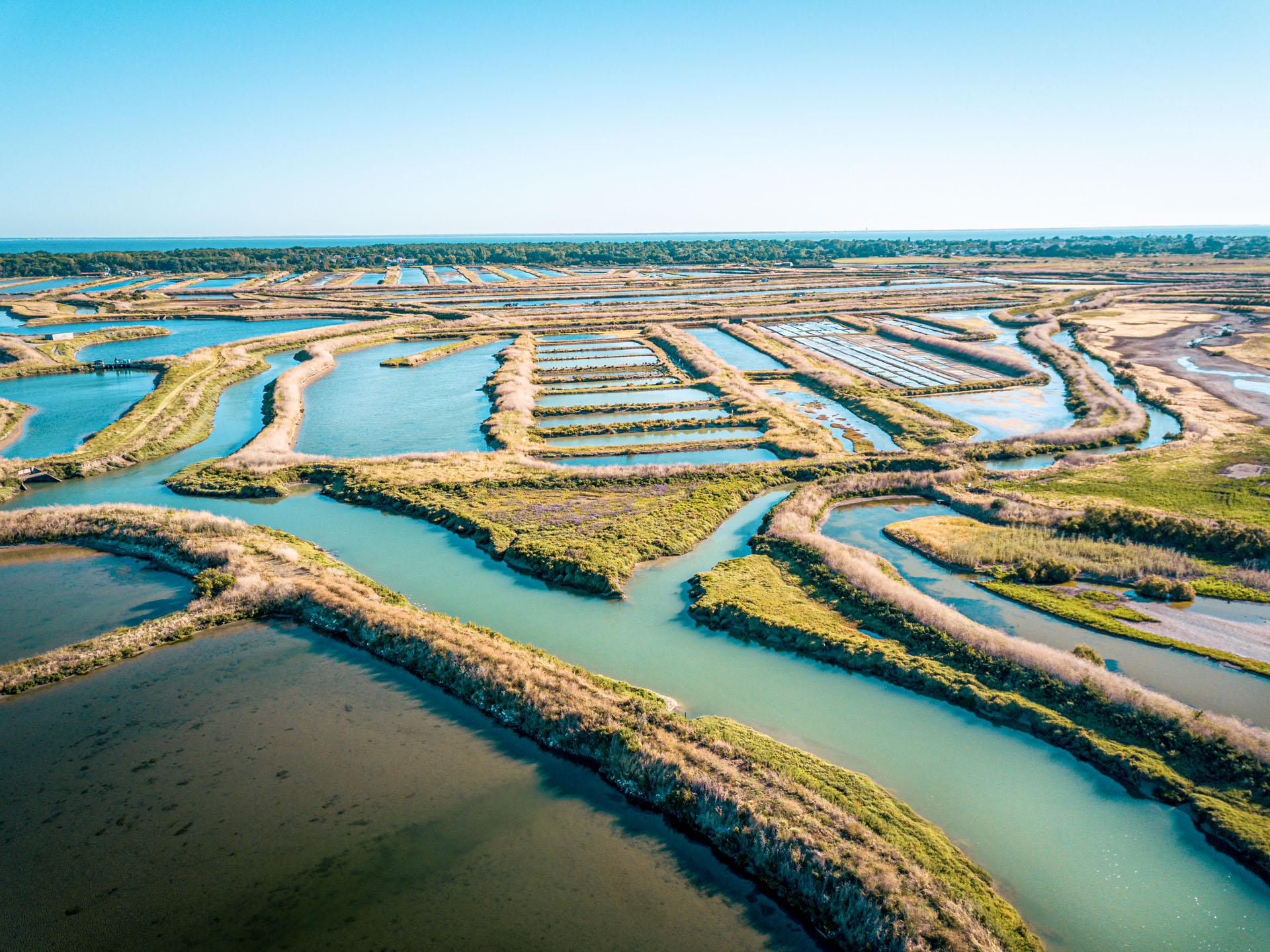 marais salants île de ré charente camping